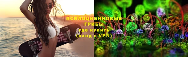 spice Абаза