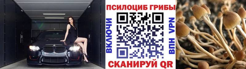 Галлюциногенные грибы GOLDEN TEACHER  ОМГ ОМГ рабочий сайт  Вилючинск 